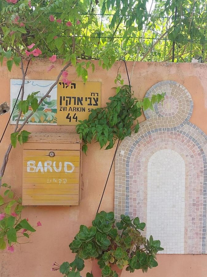דירות ברוד גדרה ישראל מראה חיצוני תמונה